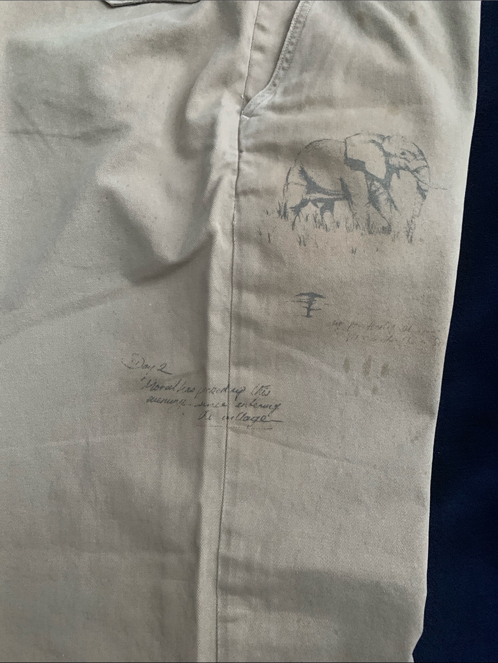 Polo RL Men's Tan Safari Scene Chino - Picture 11 of 13